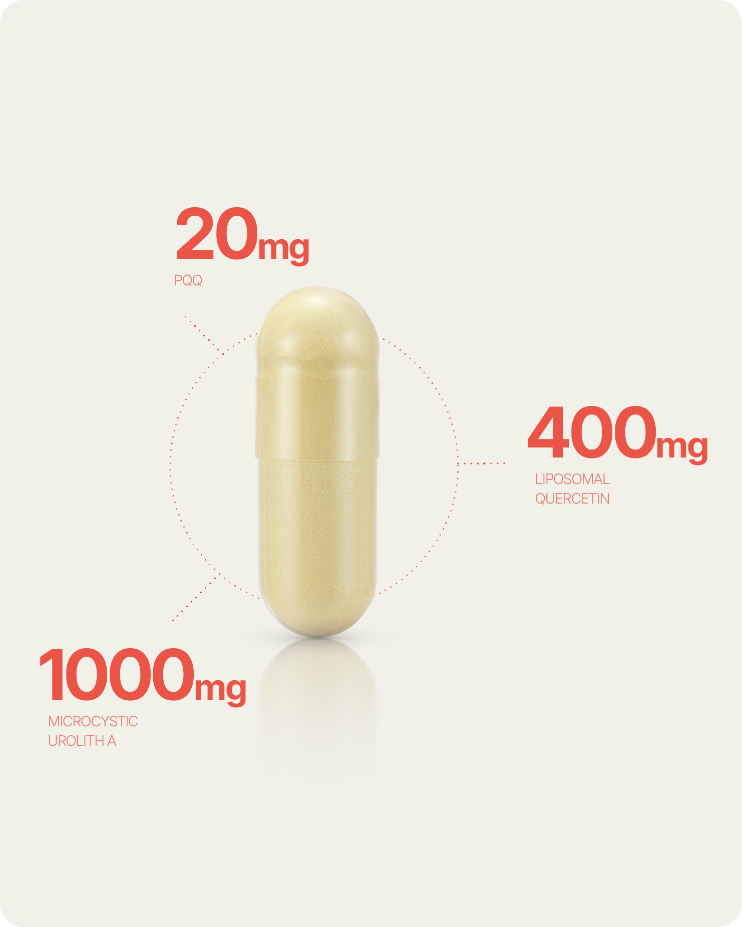 Cell Training Cellular Training Capsules