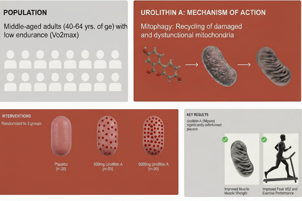 Urolithin A