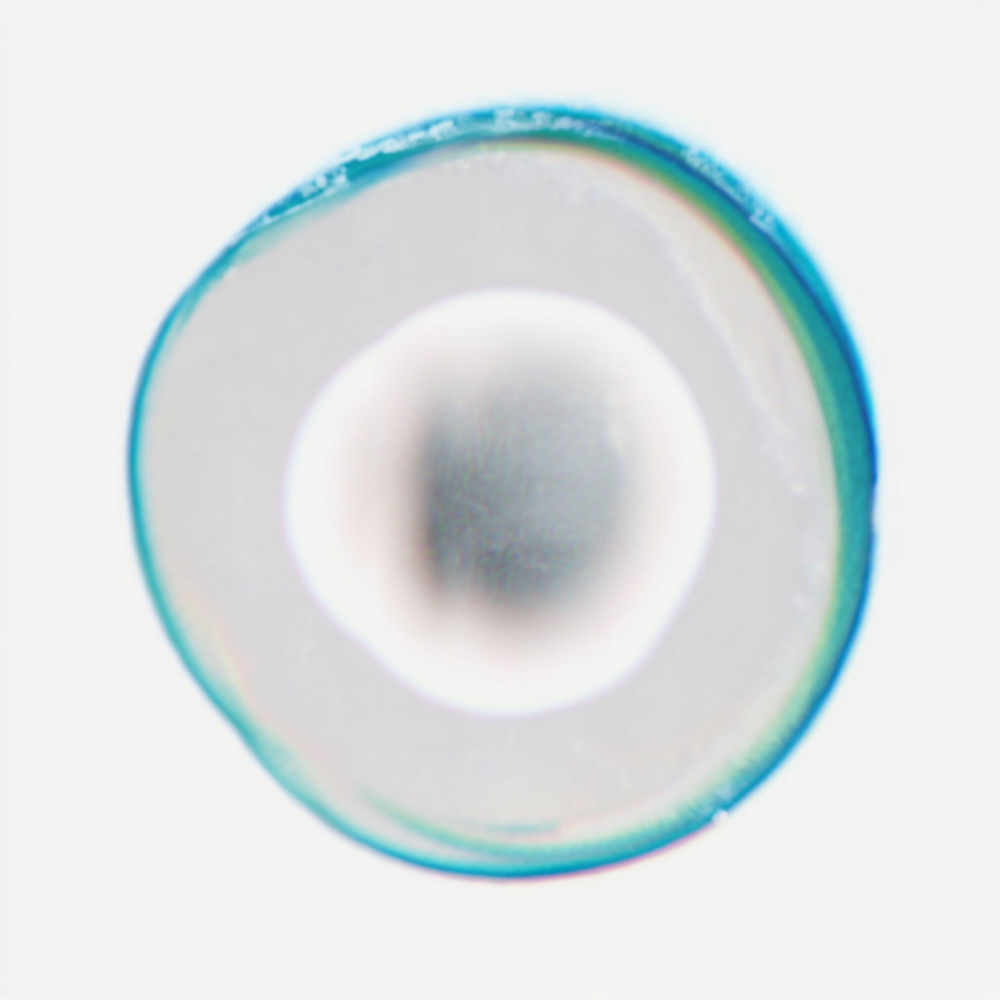12.webp