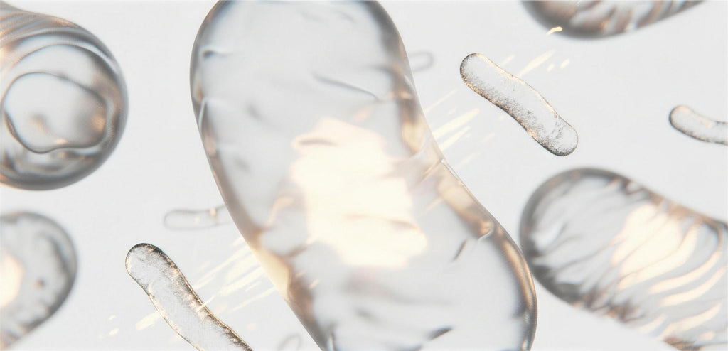 Energy Renewal